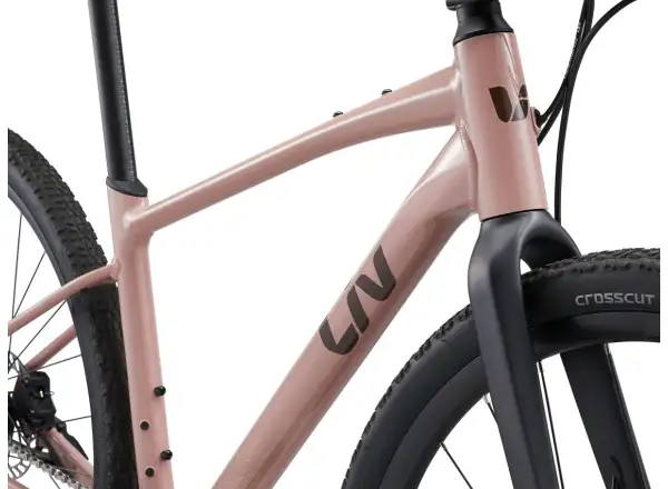 Liv Thrive GX fitness bicykel petra clay