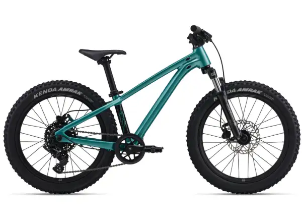 Giant STP 20 FS detský horský bicykel Teal