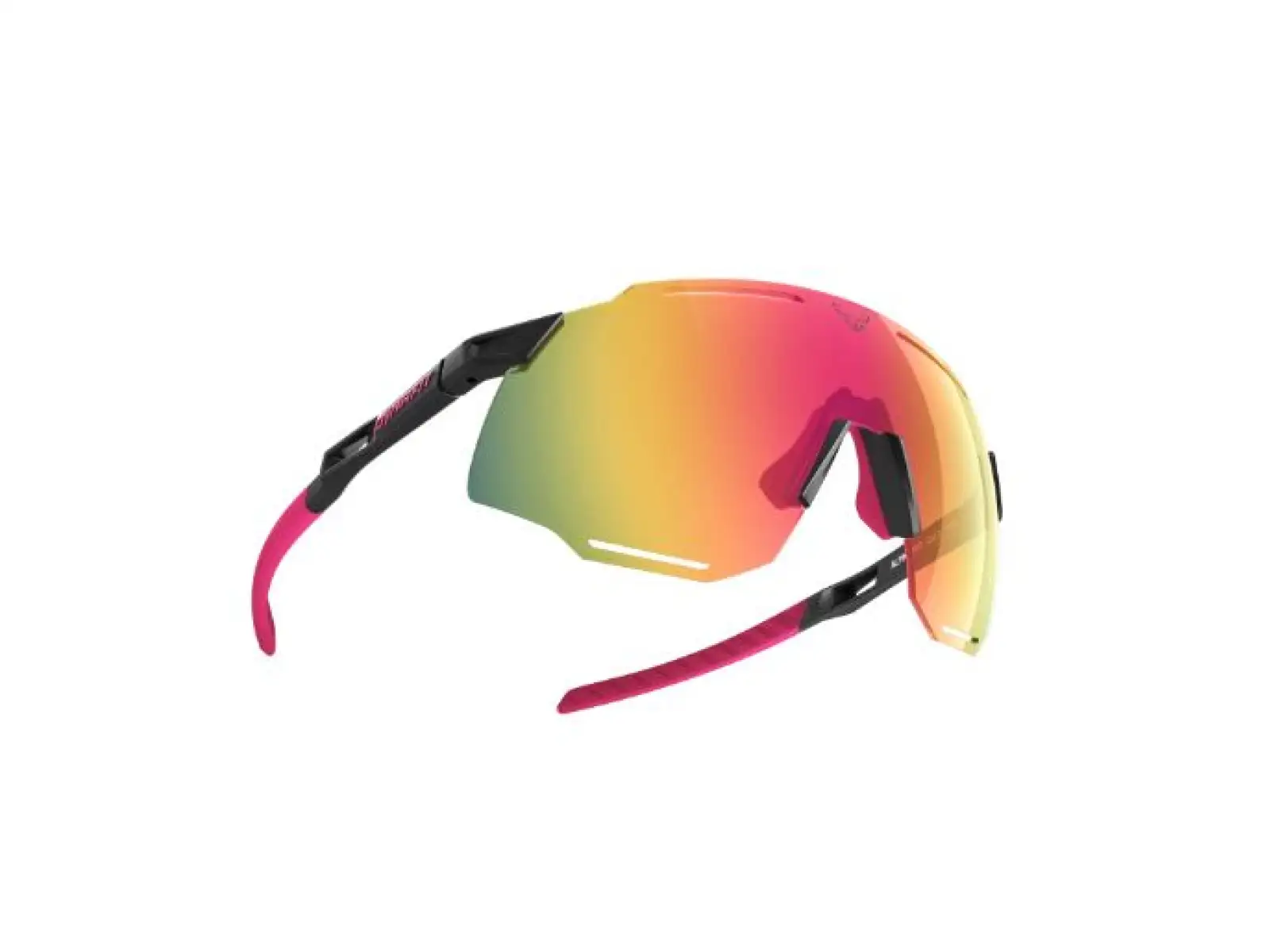 Dynafit Alpine Evo okuliare Black Out/Pink Glo