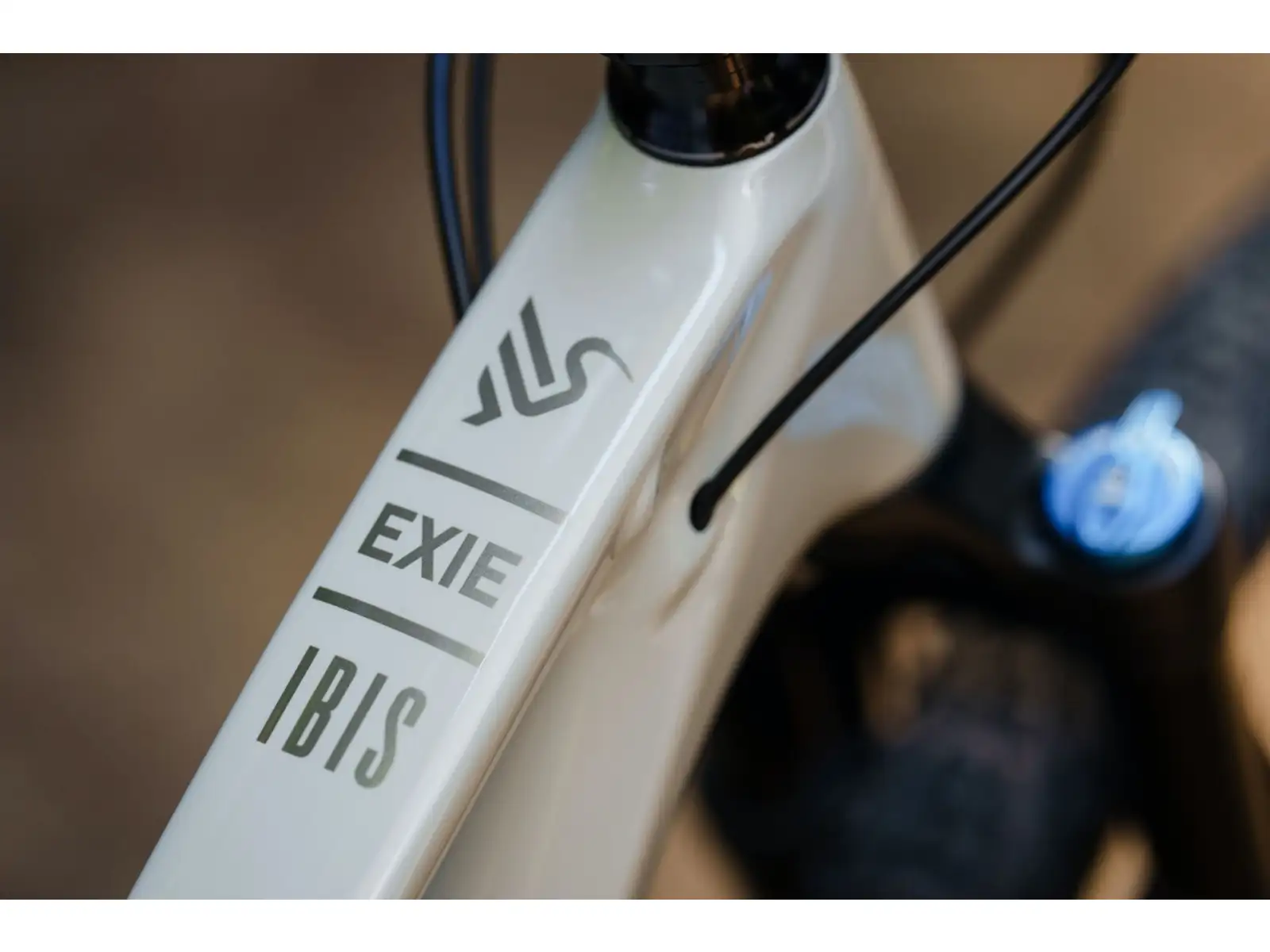 Ibis Exie V2 GX 29" horský bicykel bone