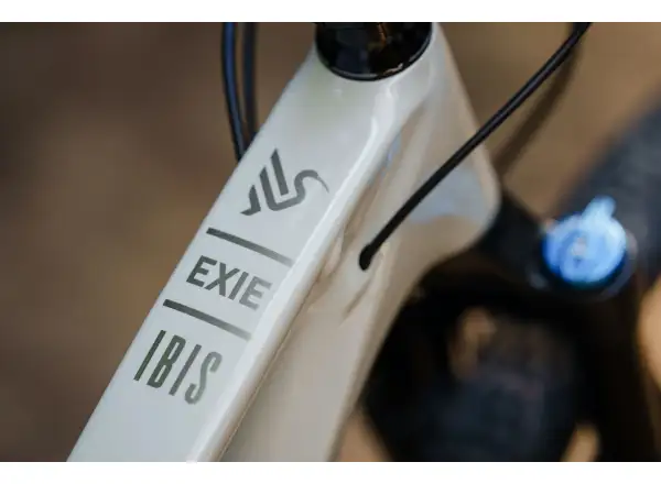 Ibis Exie V2 GX 29" horský bicykel bone