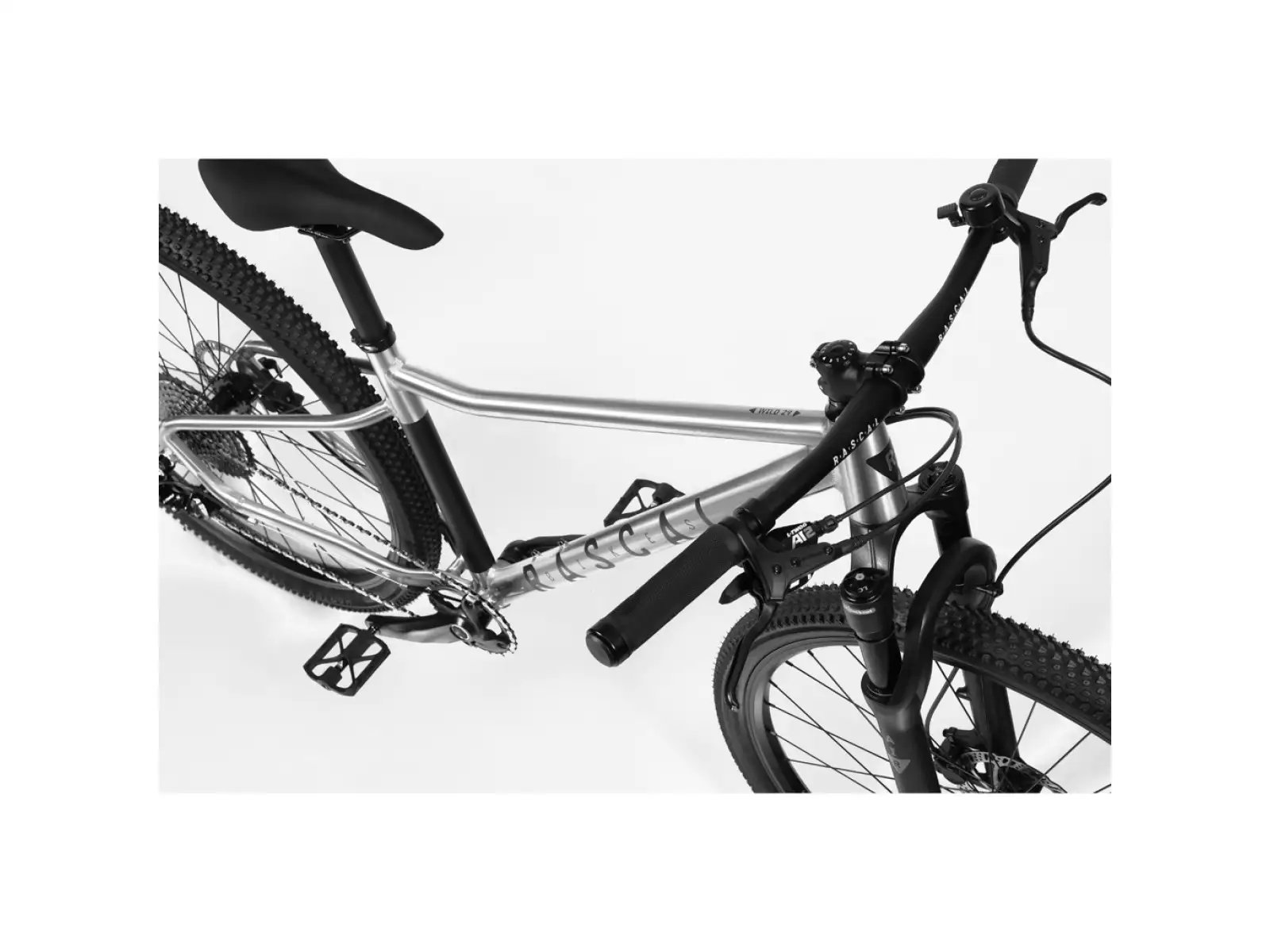 Rascal Wild 29 Limited detský bicykel Silver