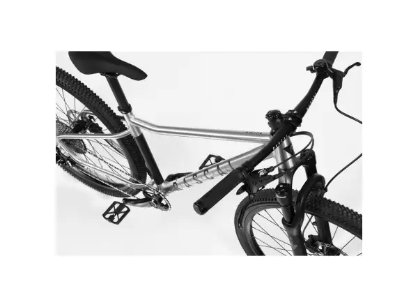 Rascal Wild 29 Limited detský bicykel Silver