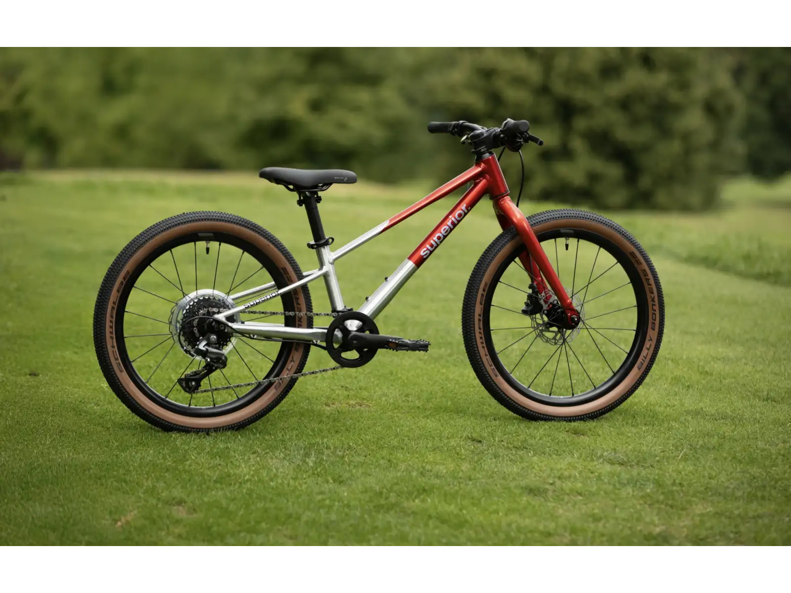 Superior TEAM 20 detský bicykel Gloss Brushed Alu / Red