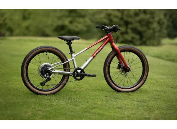 Superior TEAM 20 detský bicykel Gloss Brushed Alu / Red