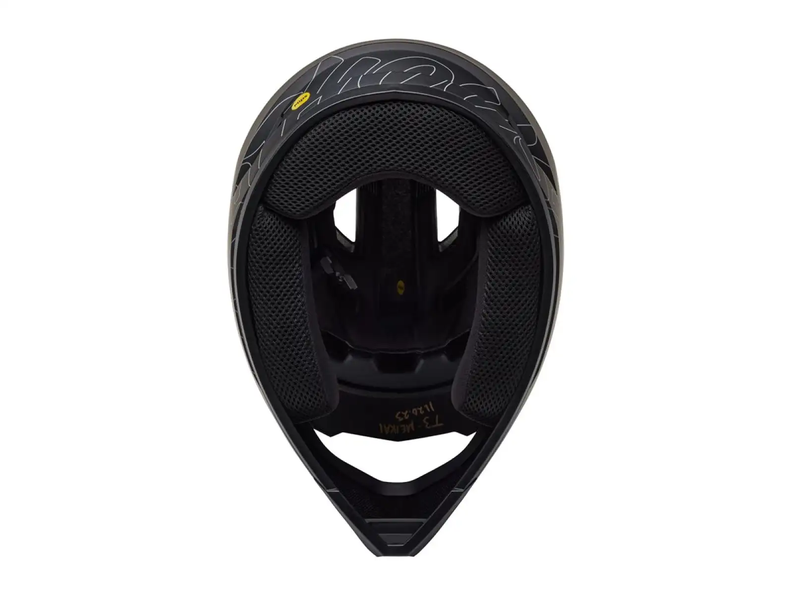 Bell Sanction 2 DLX MIPS prilba Mat Black Fasthouse