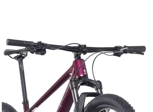 Superior XP 9.2 horský bicykel Gloss Purple