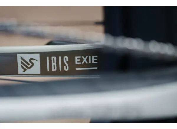 Ibis Exie V2 GX 29" horský bicykel bone