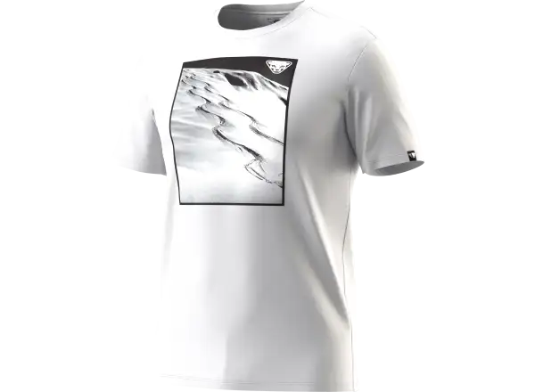 Dynafit Graphic Cotton pánske tričko krátky rukáv Nimbus/First Track