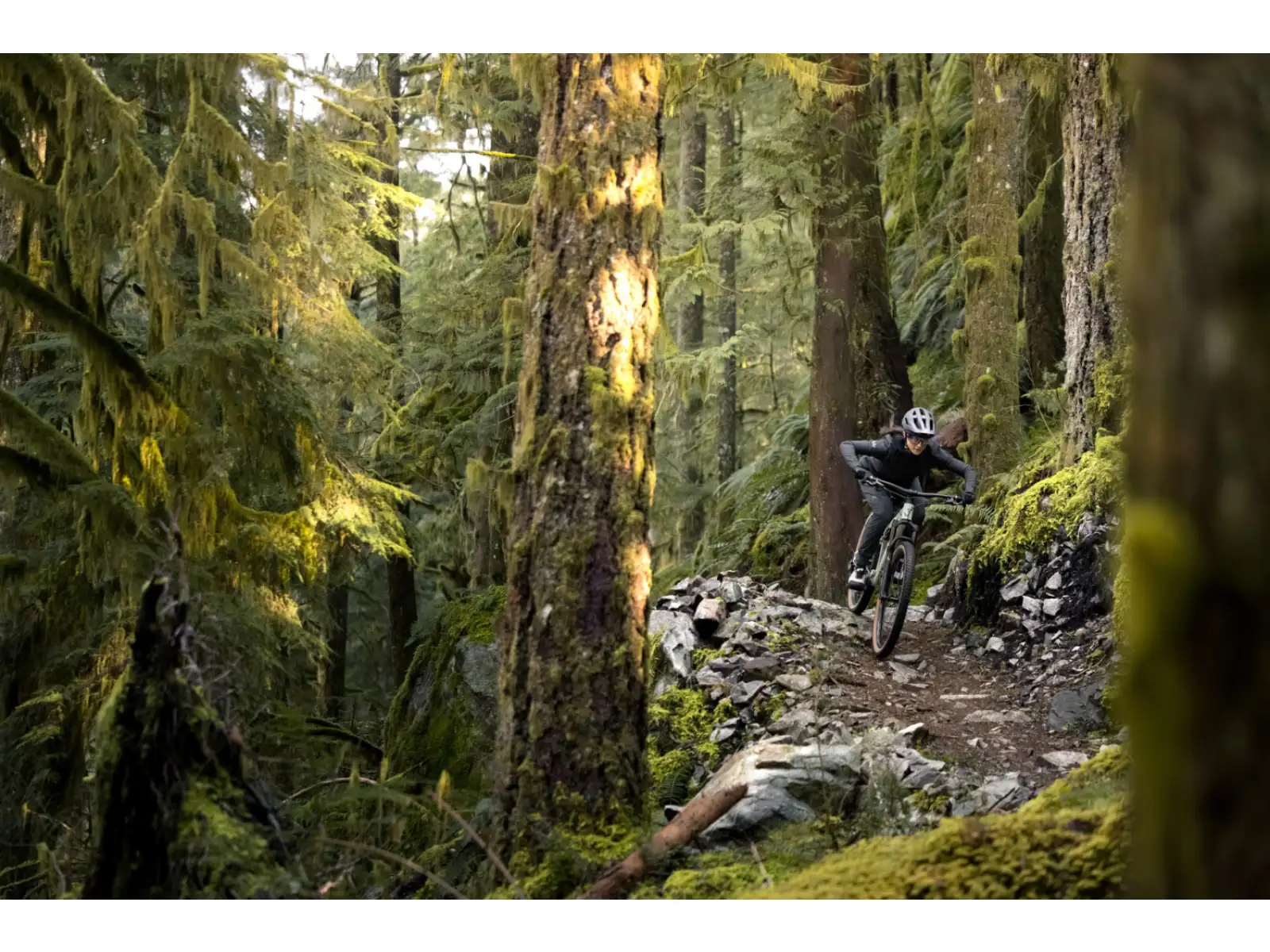 Liv Embolden 2026 horský bicykel Pale Moss