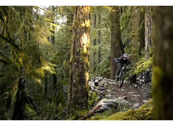 Liv Embolden 2026 horský bicykel Pale Moss