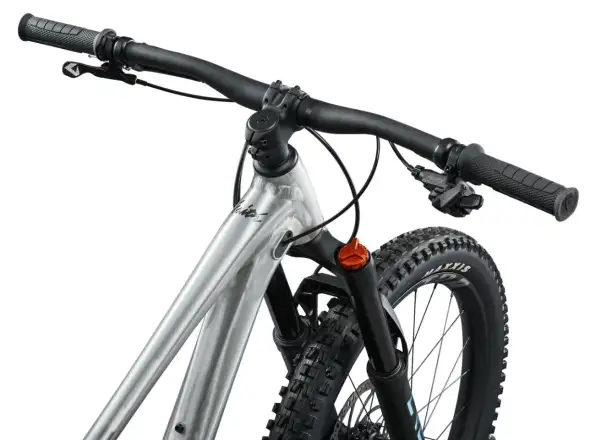 Giant Faith detský celoodpružený bicykel Raw Aluminium