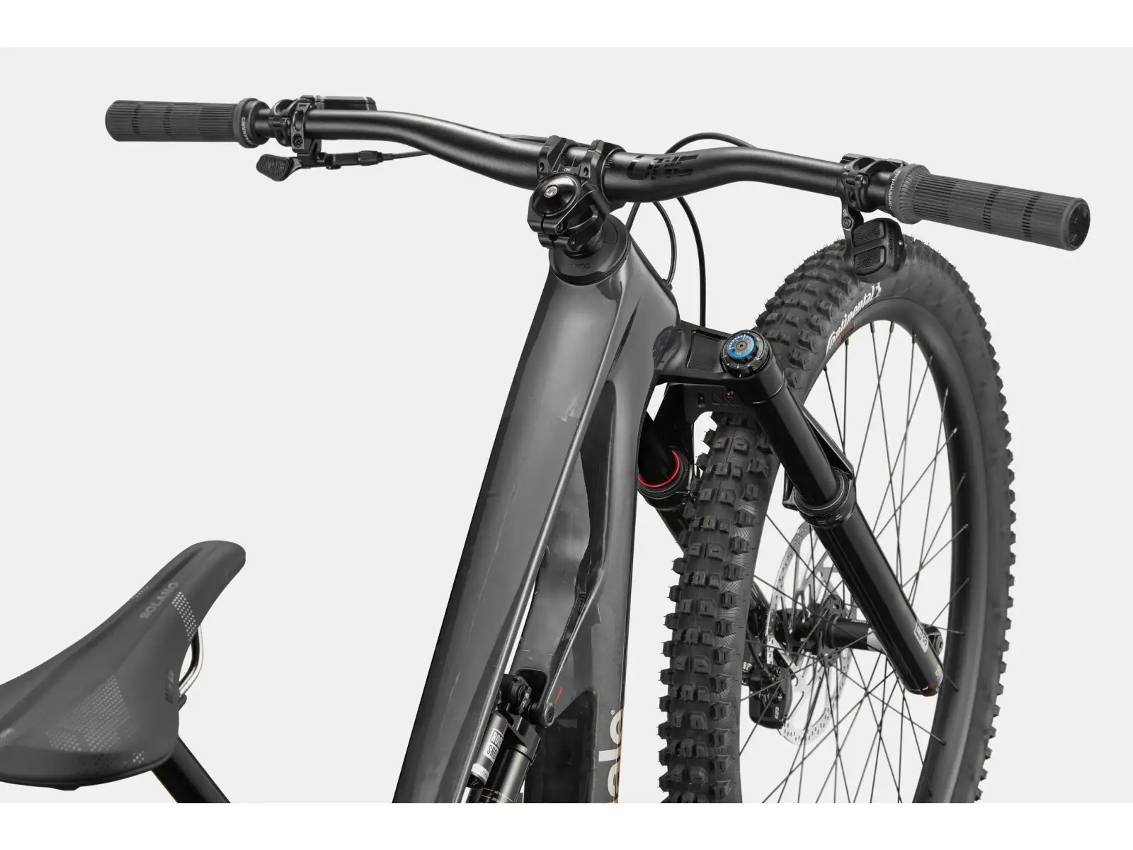 Cannondale Bad Habit 1 horský bicykel RAW Carbon