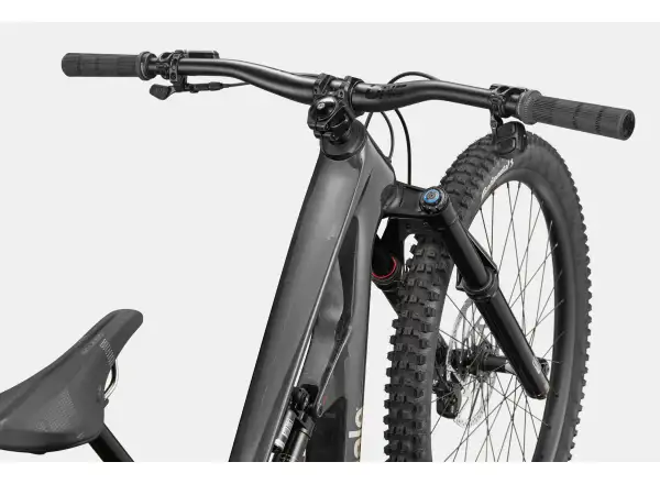 Cannondale Bad Habit 1 horský bicykel RAW Carbon