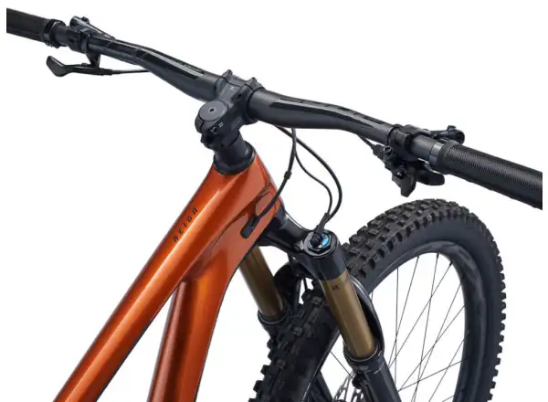 Horský bicykel Giant Reign Advanced Pro 1 29