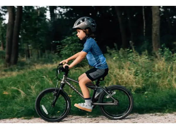 Rascal 16 detský bicykel Titanium
