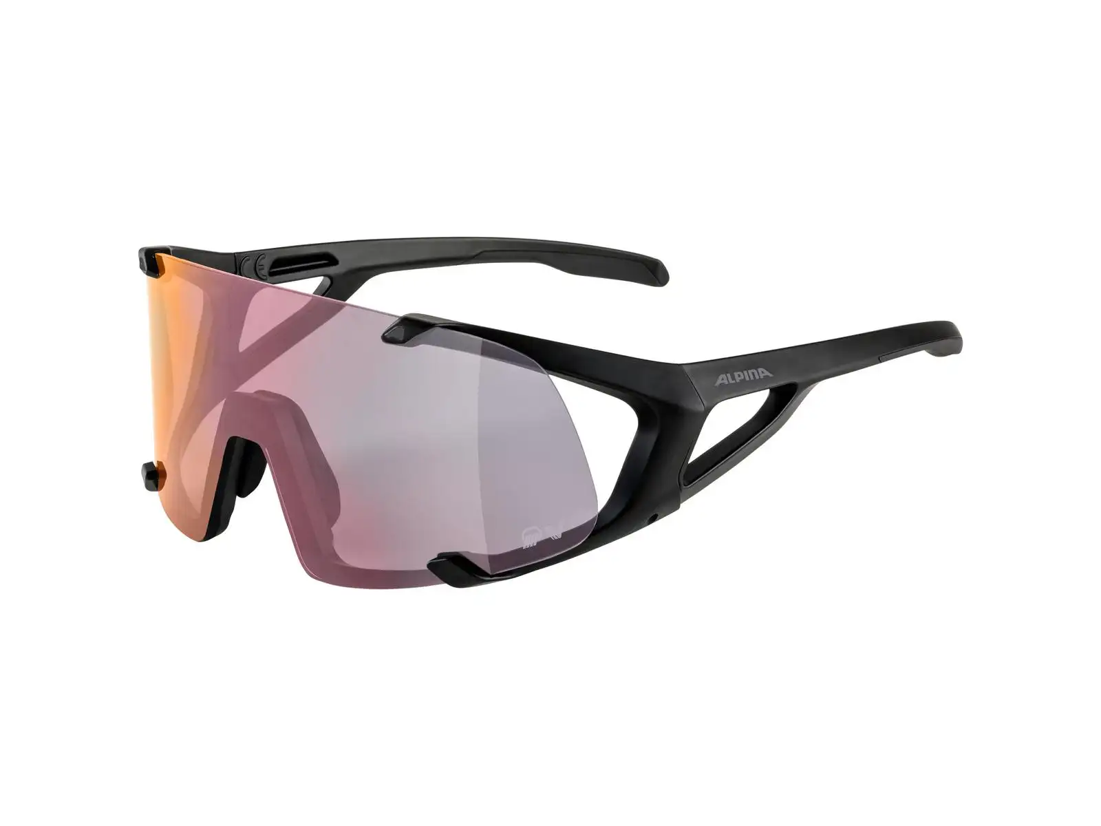 Alpina Hawkeye QV okuliare Black Matt