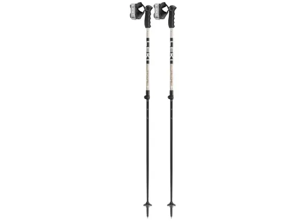 Leki Detect S Vario zjazdové palice Warm Grey Light/Warm Grey Dark/Black