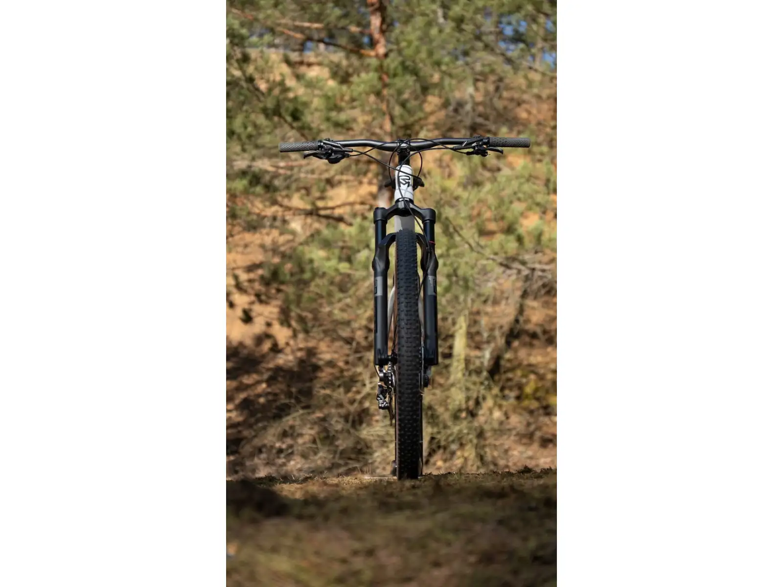 Rock Machine Blizz Cr 70 horský bicykel Gloss Limerock Grey
