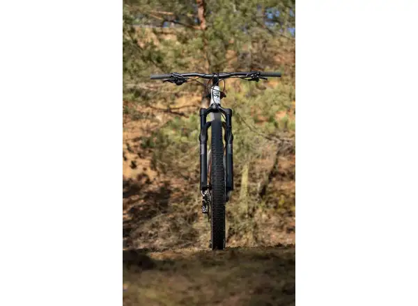 Rock Machine Blizz Cr 70 horský bicykel Gloss Limerock Grey