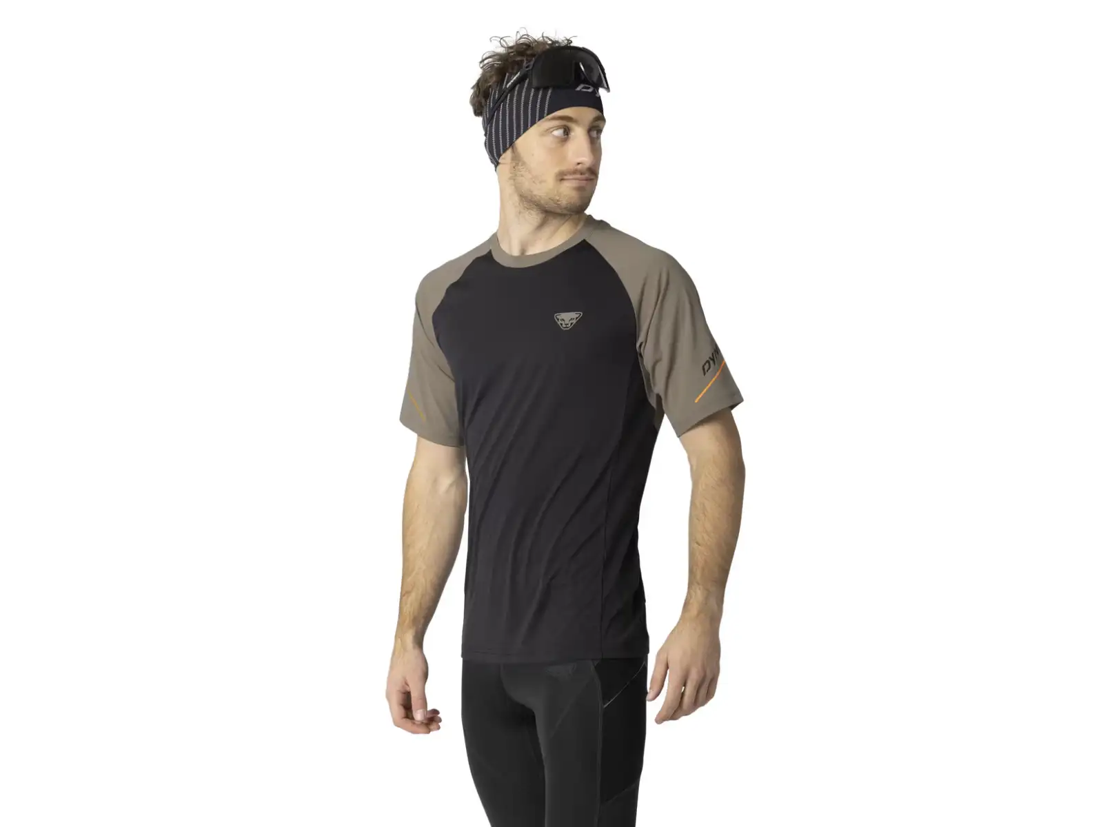 Dynafit Alpine Pro pánske bežecké tričko Fallen Rock