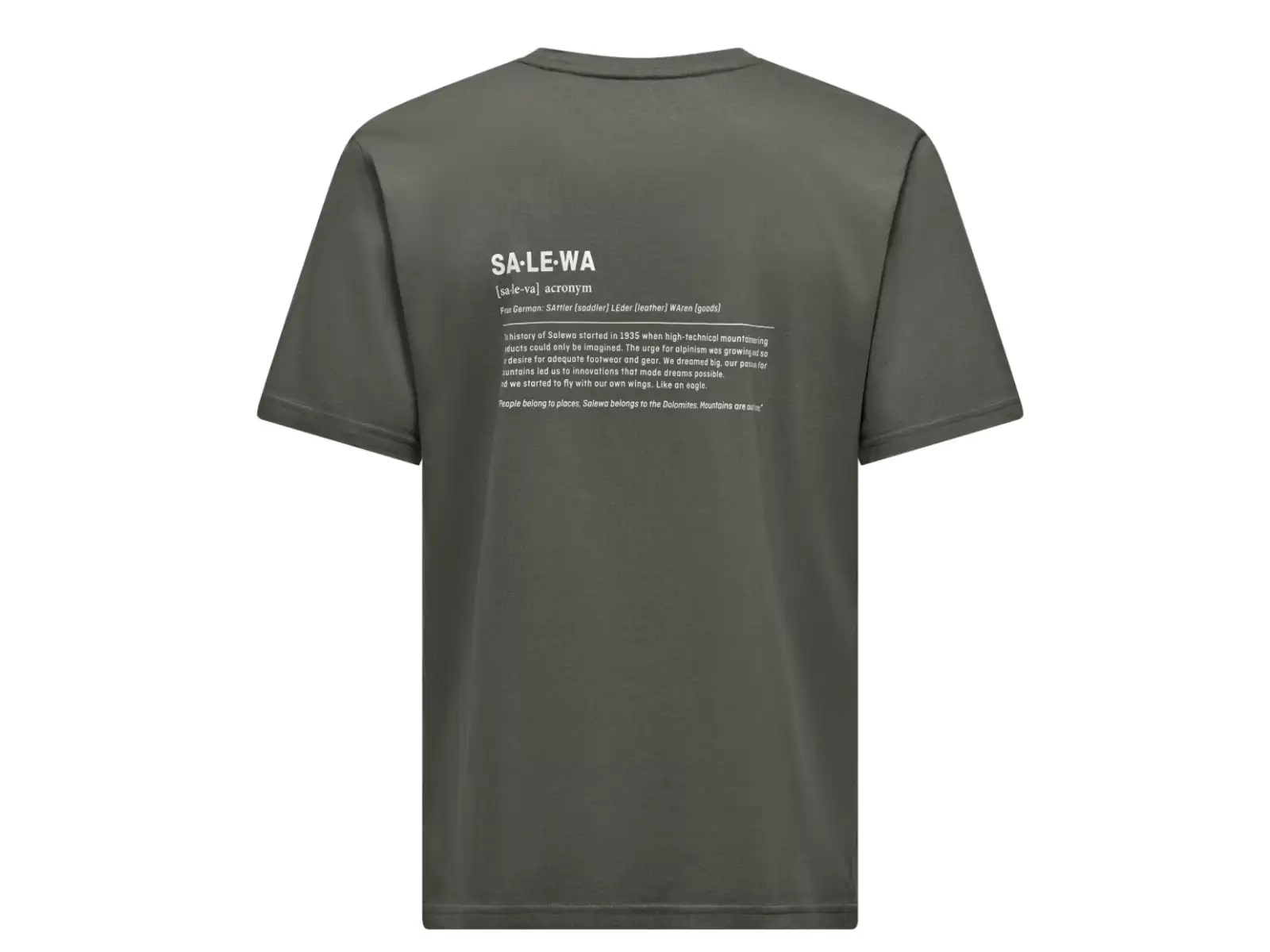 Salewa Eagle Vocab pánske tričko krátky rukáv Faded Green