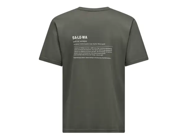 Salewa Eagle Vocab pánske tričko krátky rukáv Faded Green