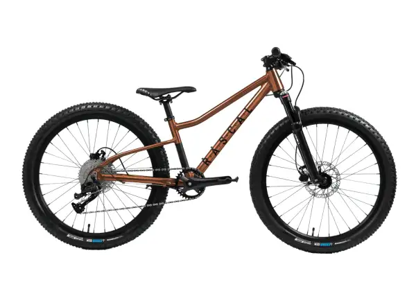 Rascal Wild 24 detské bicykel Bronze