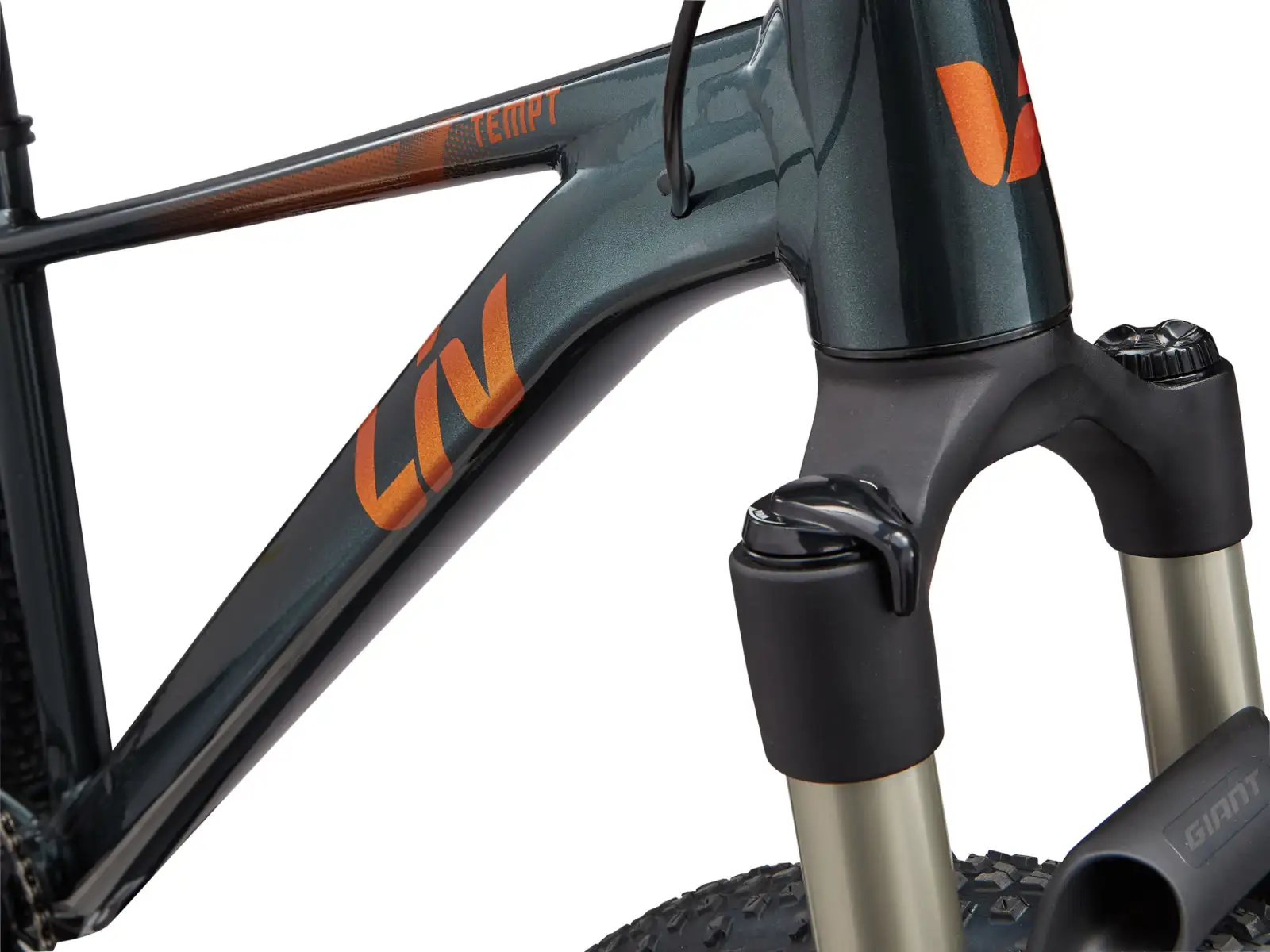 Liv Tempt 0 dámsky horský bicykel 29"  Asphalt Green