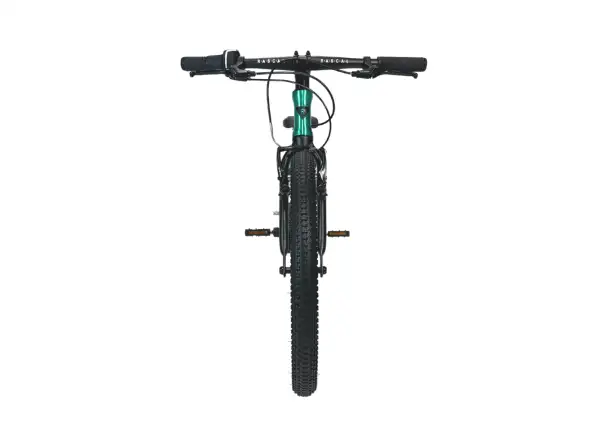Rascal 20 Limited detský bicykel Emerald
