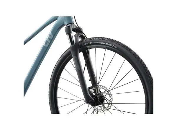Giant Rove 2 trekingový bicykel Storm Cloud