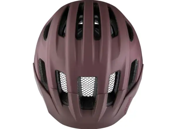 Alpina Paranus Mips prilba Raisin Matt