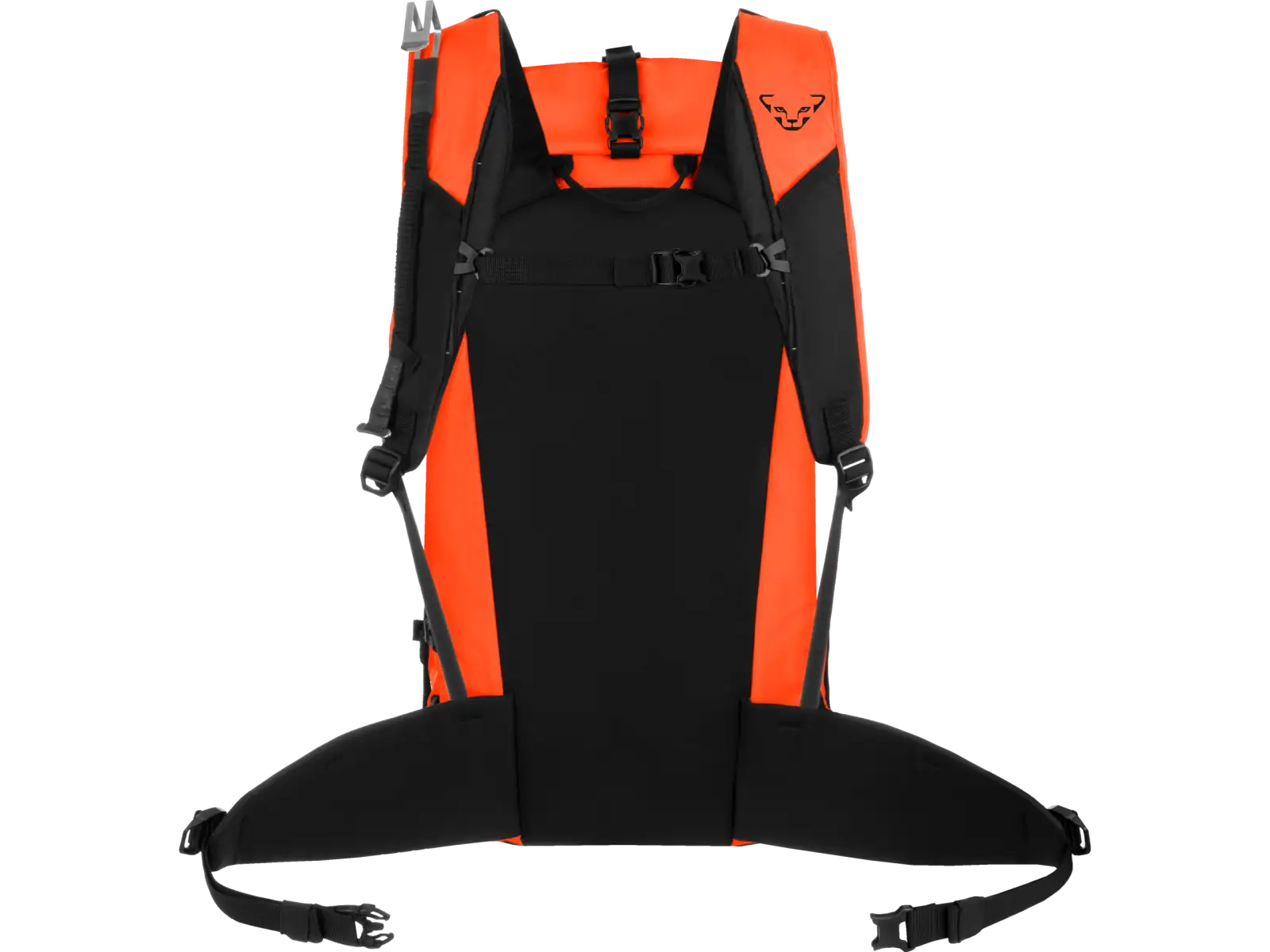 Batoh Dynafit Expedition 36 l Dawn/Black Out
