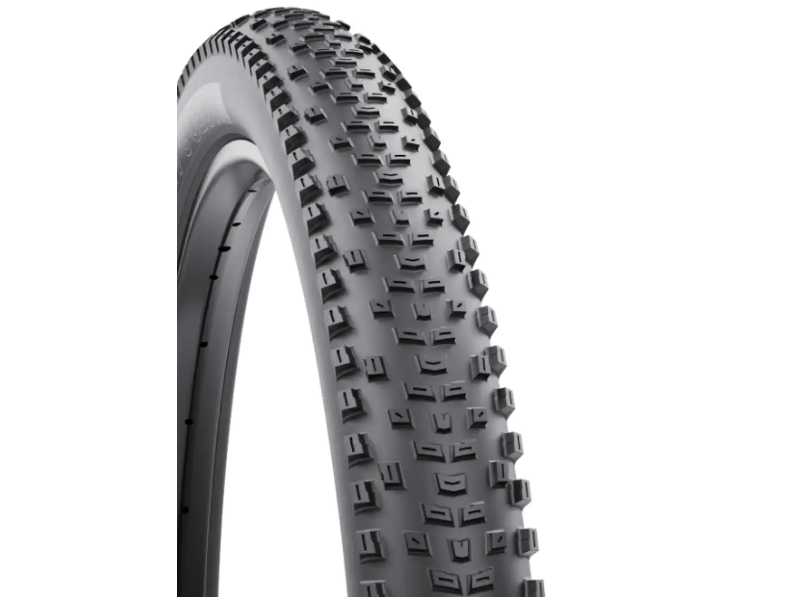 WTB Macro TCS Light Fast Rolling SG 29'' MTB plášť kevlar čierna