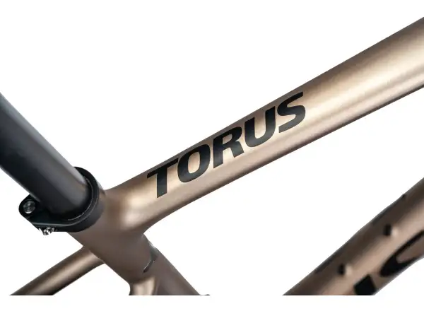Isaac Torus Xplore GRX610/RX820 2x12 gravel bicykel Blast Bronze