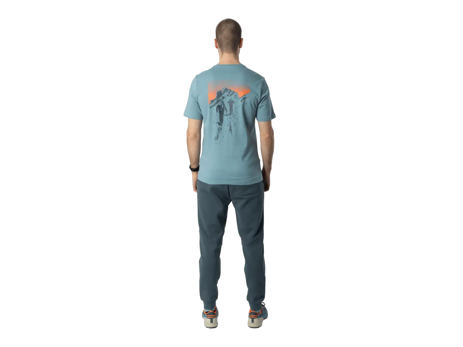 Dynafit Back Graphic Cotton pánske tričko krátky rukáv Smoke Blue/Approach