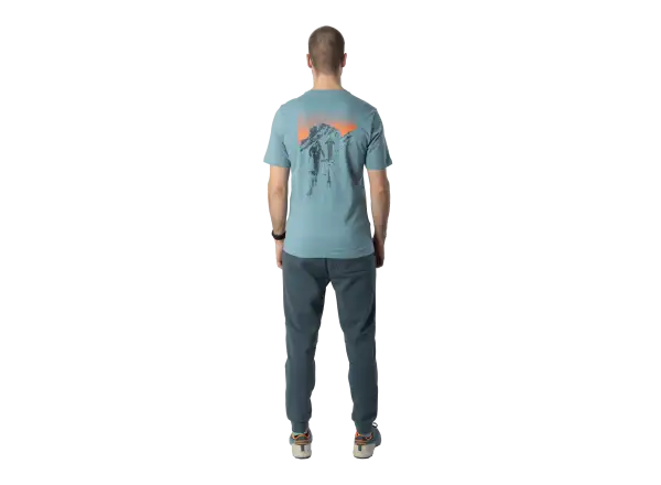 Dynafit Back Graphic Cotton pánske tričko krátky rukáv Smoke Blue/Approach