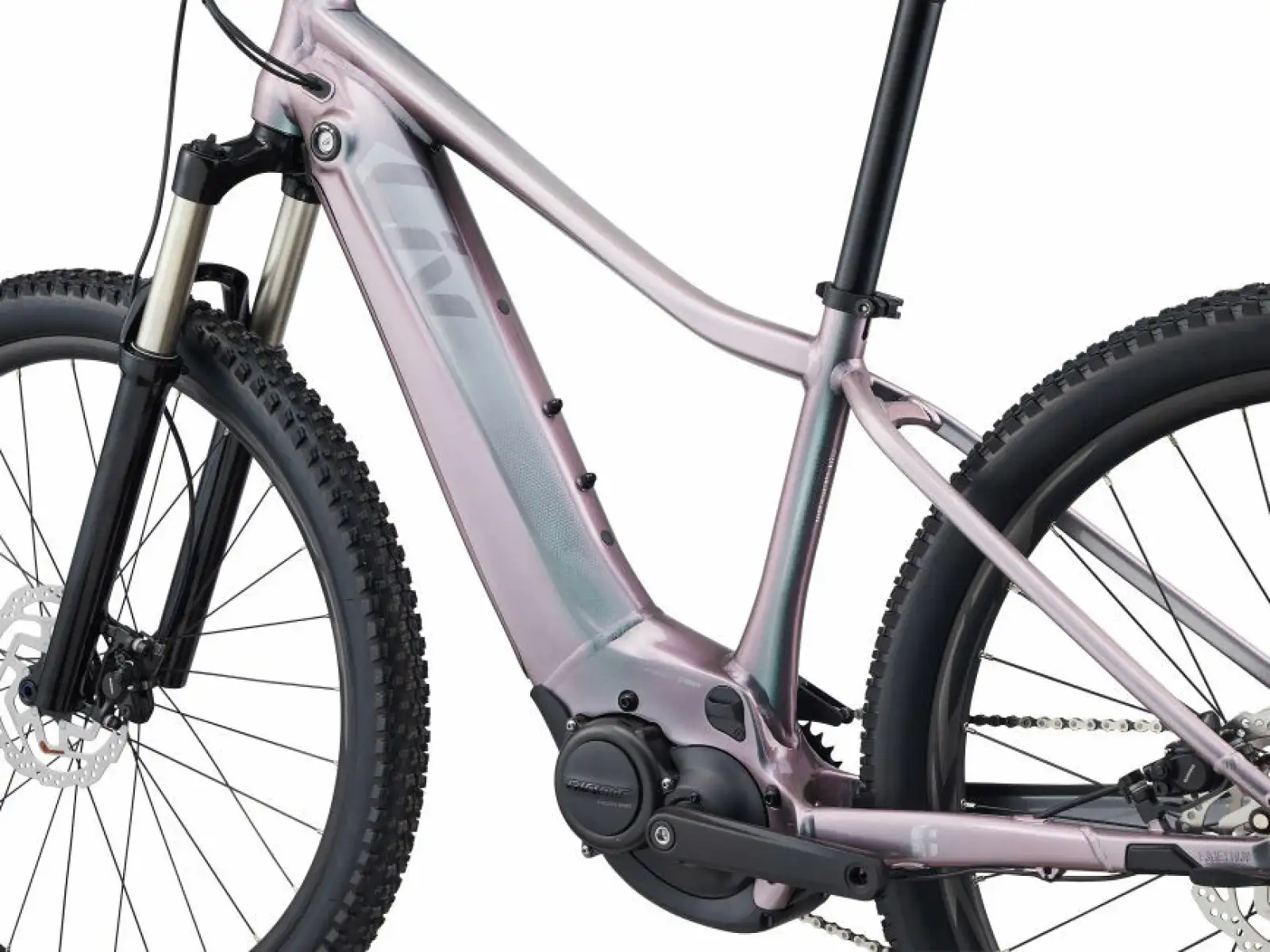 Liv Vall-E+ 2 29 Echeveria 2022 dámsky horský bicykel