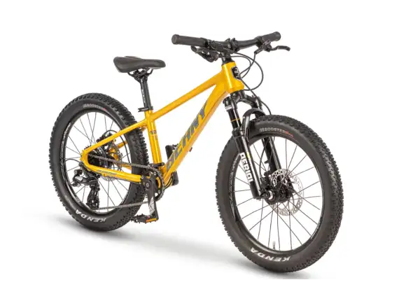 Beany Blaster 20 detský bicykel Gold