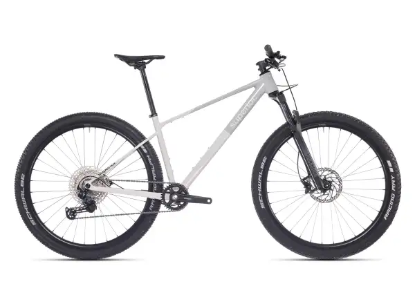 Superior XP 6.2 horský bicykel Gloss Grey