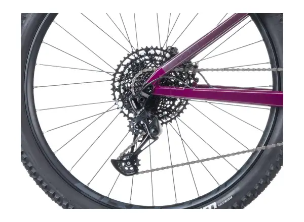 Crussis e-Fionna AX 9.12-M2S(800) horský elektrobicykel