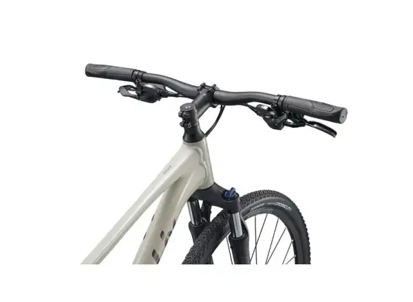 Giant Rove 3 trekingový bicykel Pulp Gray