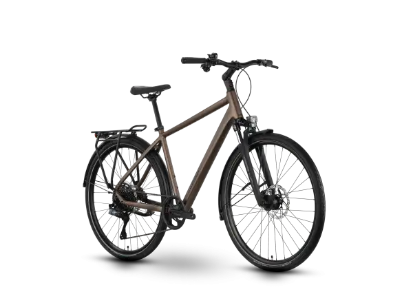 Raymon Zayn Auto Diamond trekingový bicykel Mushroom/Black
