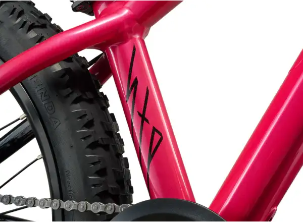 Liv STP 20 detský horský bicykel Hot Pink