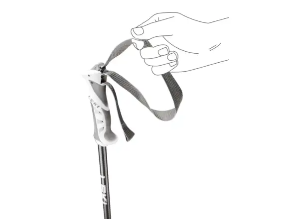 Leki Bliss zjazdové palice Gunmetal/Dark Anthracite/White