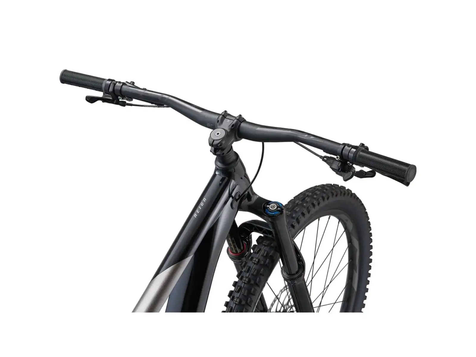 Horský bicykel Giant Reign 2 čierny/kovový