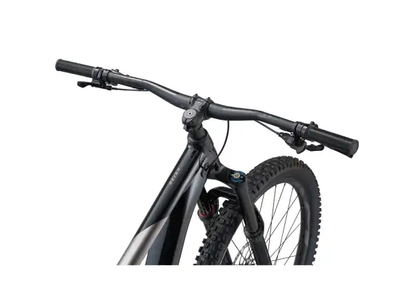 Horský bicykel Giant Reign 2 čierny/kovový