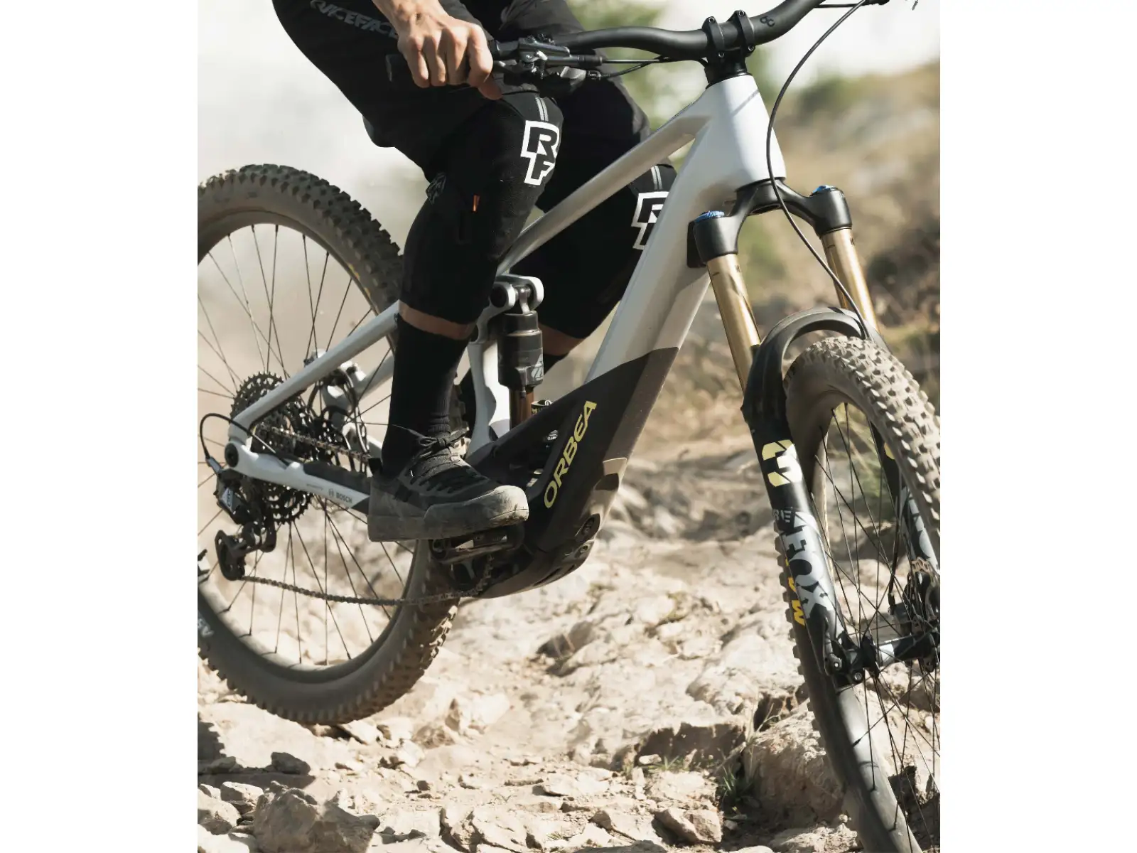 Horský bicykel Orbea Wild M20 Halo Silver/Tanzanite Carbon