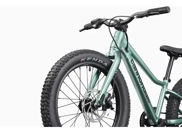 Cannondale Kids Trail Plus 20 detský bicykel Cactus Green
