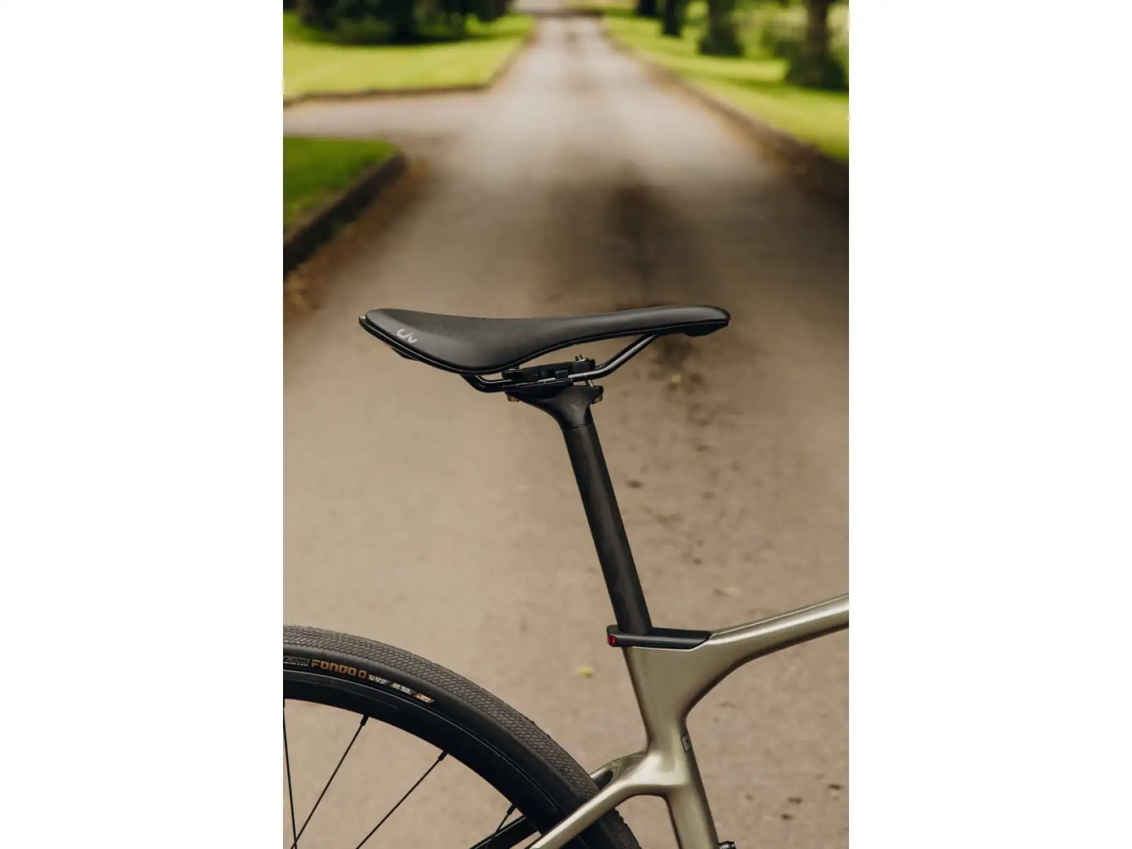 Liv Avail Advanced E+ Elite 2 cestný elektrobicykel Golden Haze